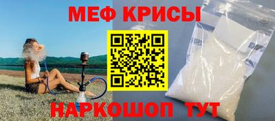индика Кингисепп