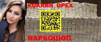 индика Кингисепп