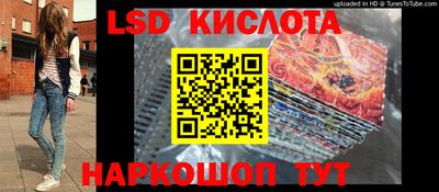 индика Кингисепп