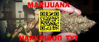 индика Кингисепп