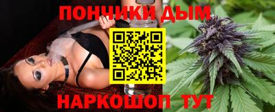 индика Кингисепп