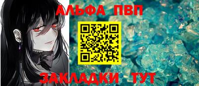 индика Кингисепп