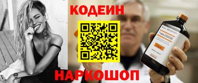 индика Кингисепп
