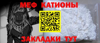 индика Кингисепп